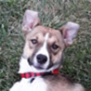 Meet your Posher, Rayne